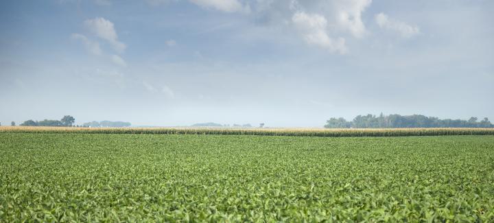 Trait or no trait, Stine® has you covered