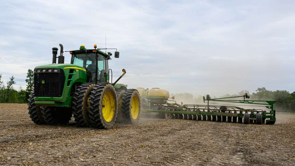 Considerations before replanting