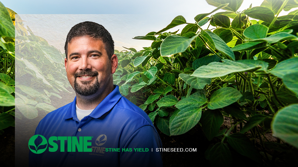 Understanding soybean white mold