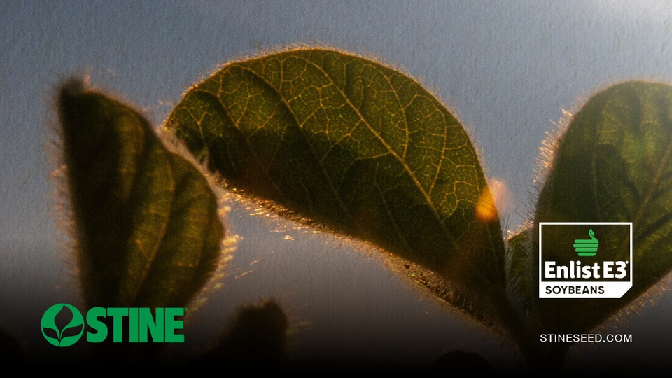 The value of Stine® Enlist E3® soybeans