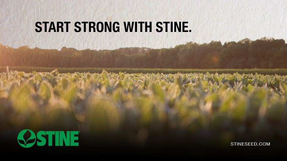 Introducing Stine’s new soybean blends: Take on field challenges with confidence