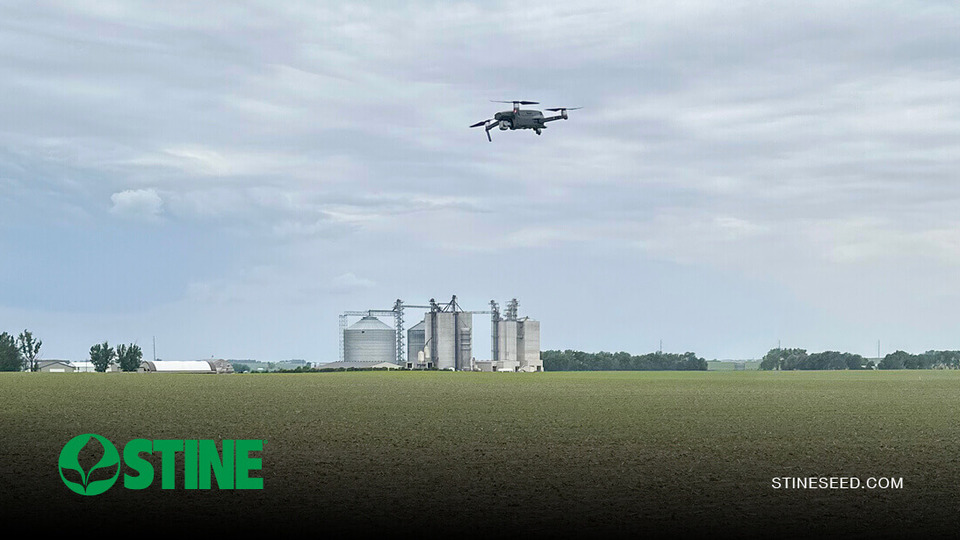 Using drone technology to support replant decisions