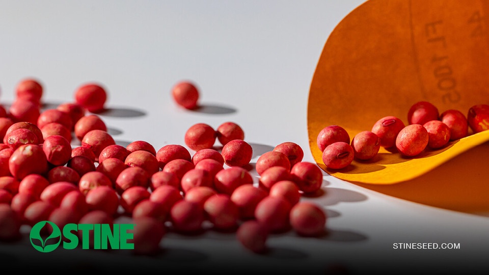 Beyond the bag: Stine® XP seed enhancements available for 2027